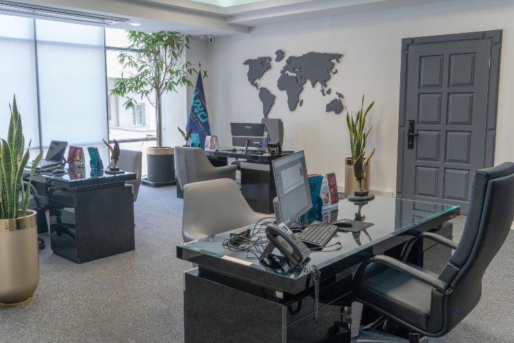 VisaService