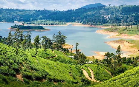Pouyatravel-Foreign-Tours srilanka